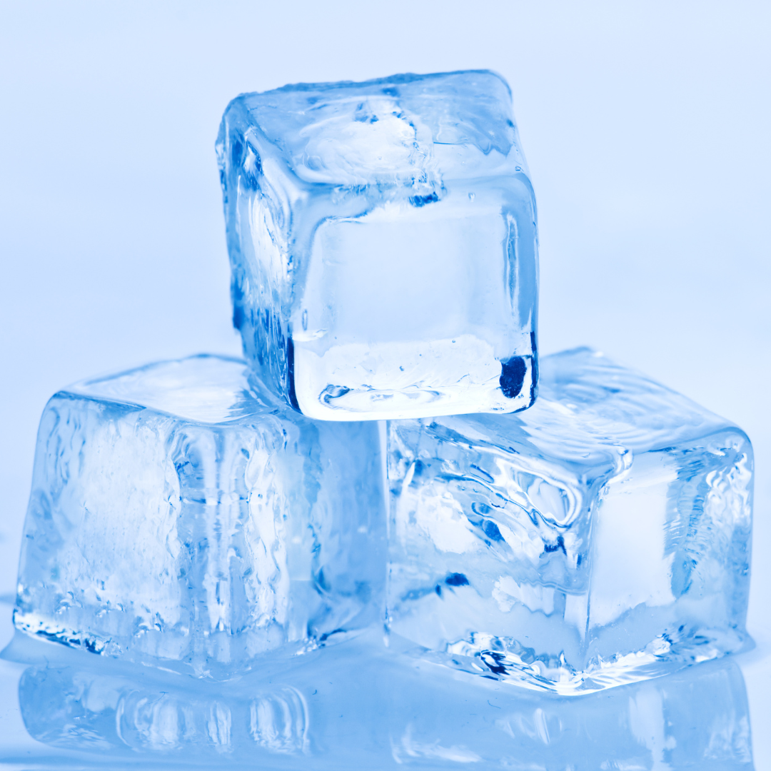 commercial ice machine rental