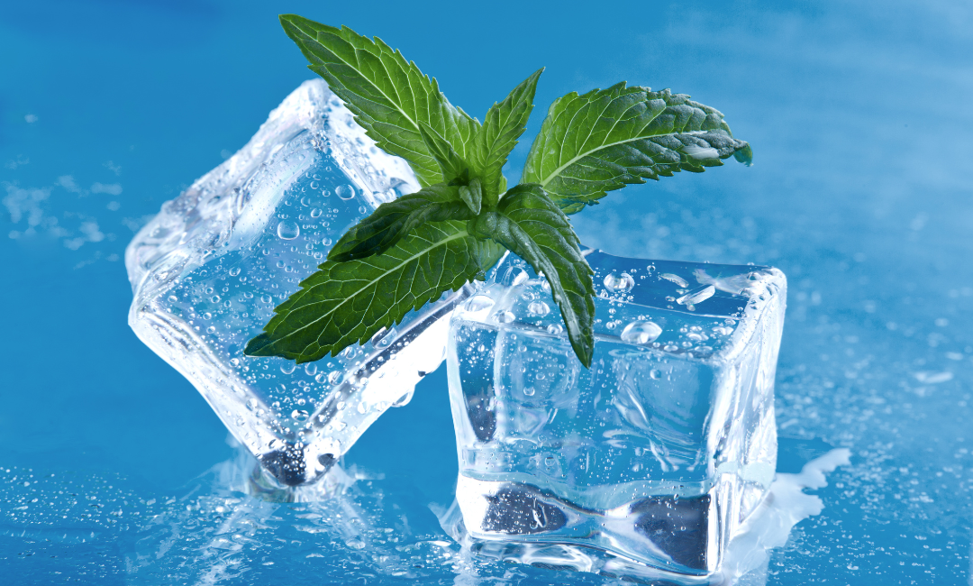 Why Ice Machine Rental is the Ideal Solution for Temporary Needs